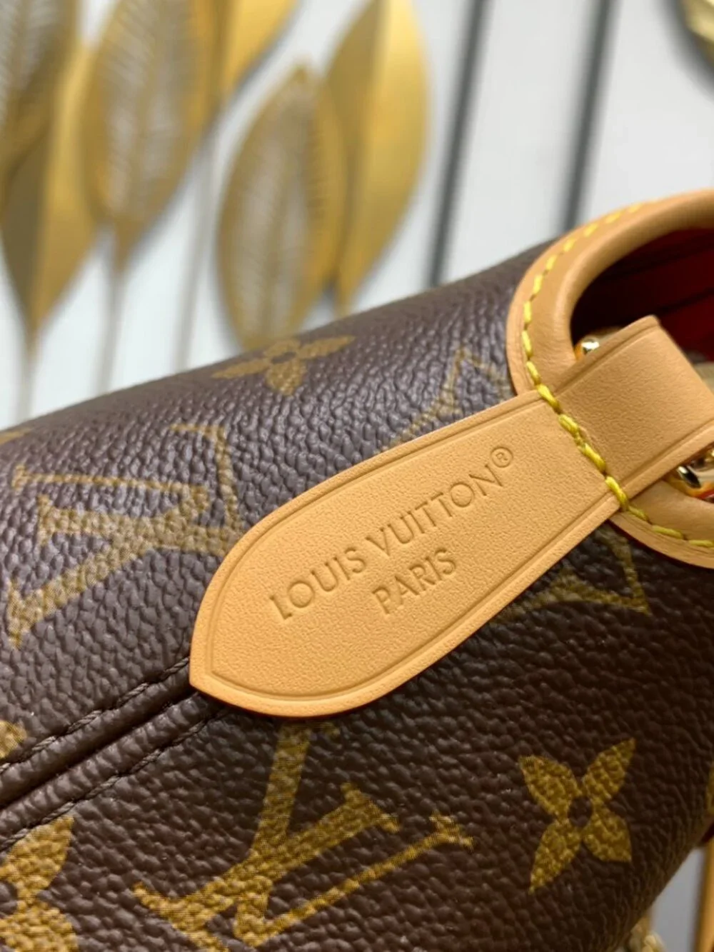 Louis Vuitton Ever More PM Monogram